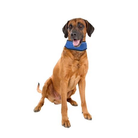 Kühlhalsband für Hunde Bandana Fresk