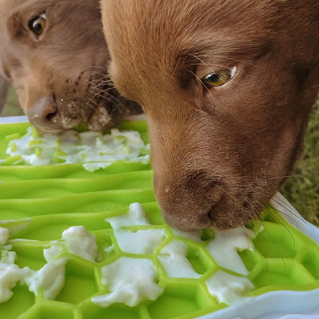 Lick’n'Snack Schleckplatte für Hunde