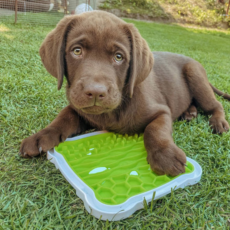 Lick’n'Snack Schleckplatte für Hunde