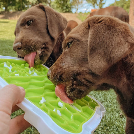 Lick’n'Snack Schleckplatte für Hunde