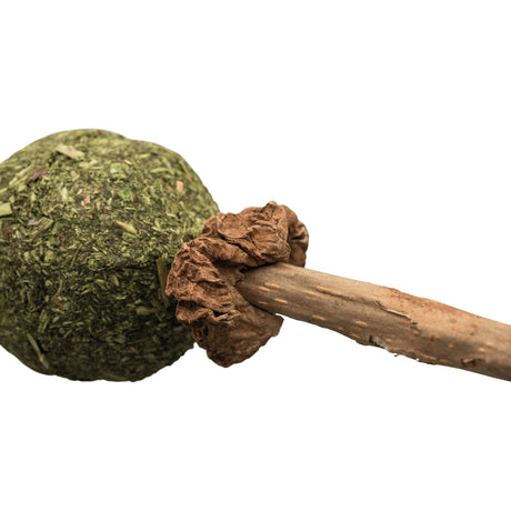 Matatabi Lolli mit Catnip