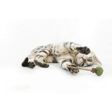 Matatabi Lolli mit Catnip