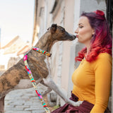 Max & Molly H-Geschirr für Hunde Missy Pop