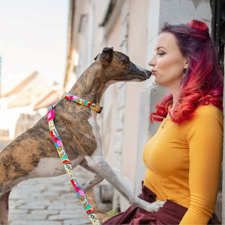 Max & Molly H-Geschirr für Hunde Missy Pop