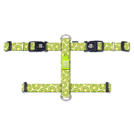 H-Geschirr Kiwi