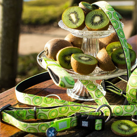 Smart ID Halsband Kiwi