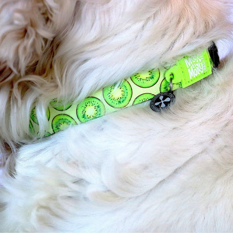 Smart ID Halsband Kiwi