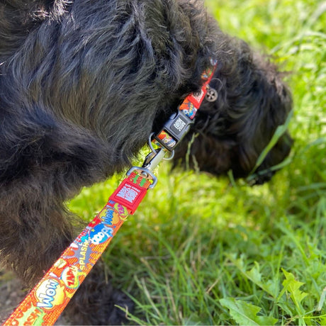 Max & Molly Smart ID Hundehalsband Heroes