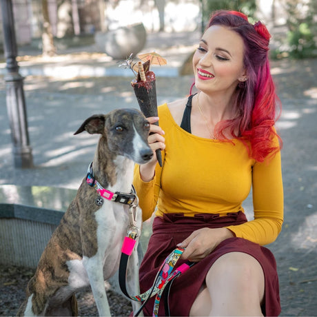 Max & Molly Smart ID Hundehalsband Missy Pop