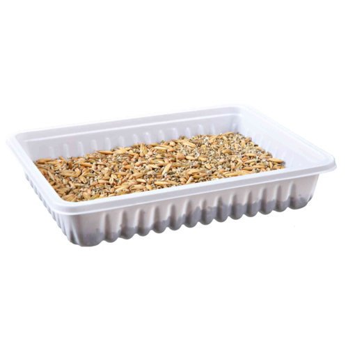 Nagergras, Schale – 100g