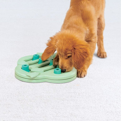 Puppy Hide N' Slide Hundestrategiespiel