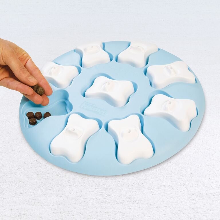 Puppy Smart Welpen Intelligenzspielzeug