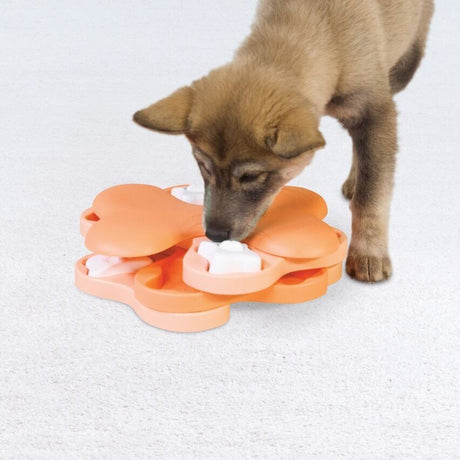 Puppy Tornado Hunde Intelligenzspiel
