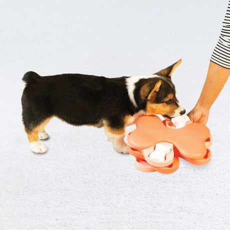 Puppy Tornado Hunde Intelligenzspiel