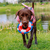 Hunde Schwimmweste Sharki mit Haifischflossen