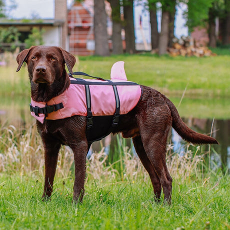 Hunde Schwimmweste Sharki mit Haifischflossen