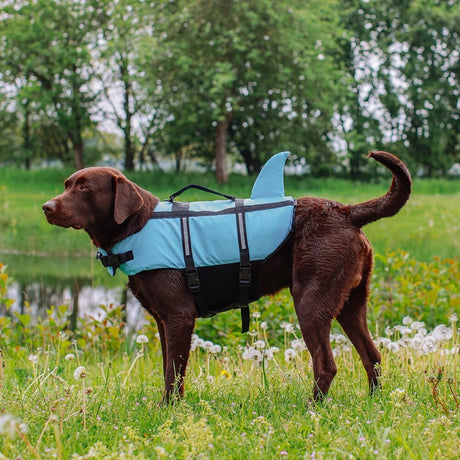 Hunde Schwimmweste Sharki mit Haifischflossen