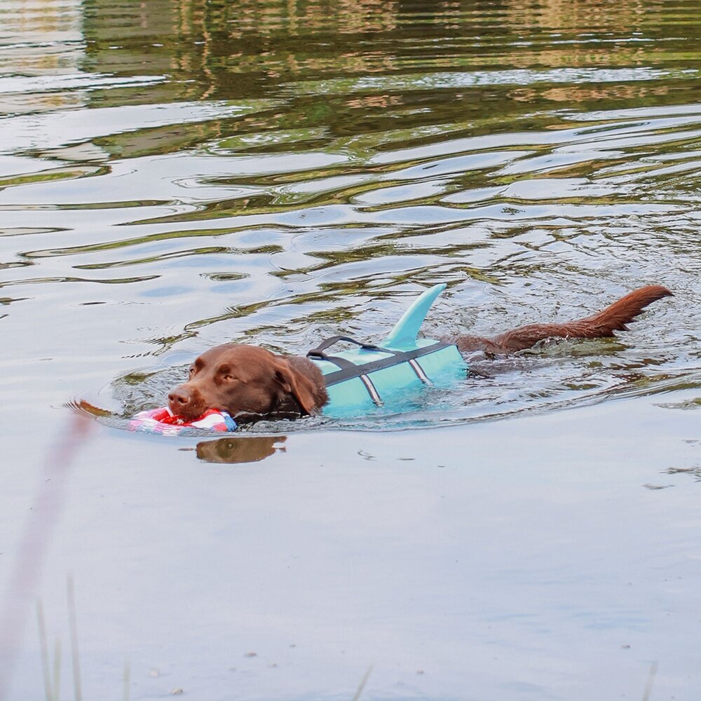 Hunde Schwimmweste Sharki mit Haifischflossen