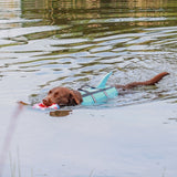 Hunde Schwimmweste Sharki mit Haifischflossen