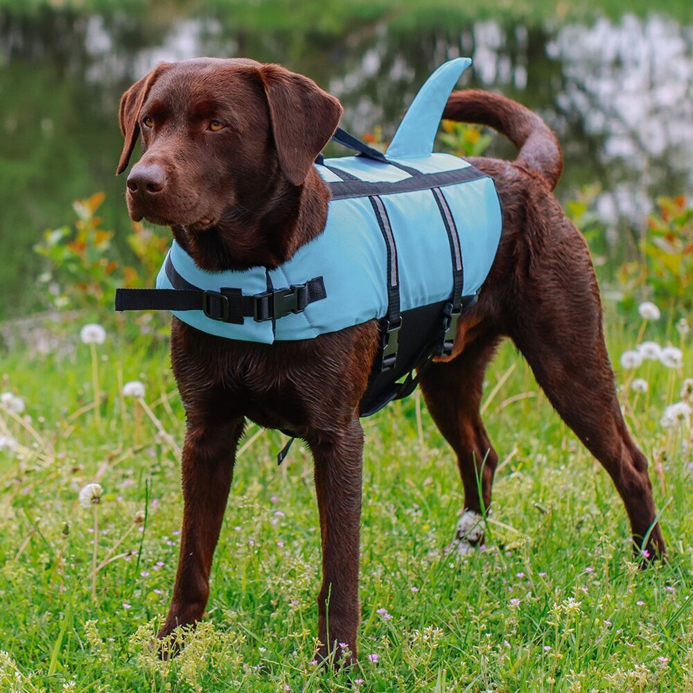 Hunde Schwimmweste Sharki mit Haifischflossen