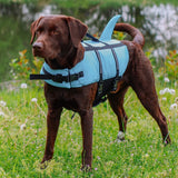 Hunde Schwimmweste Sharki mit Haifischflossen