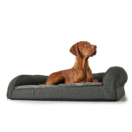 Orthopädisches Hundesofa Livingston von Hunter