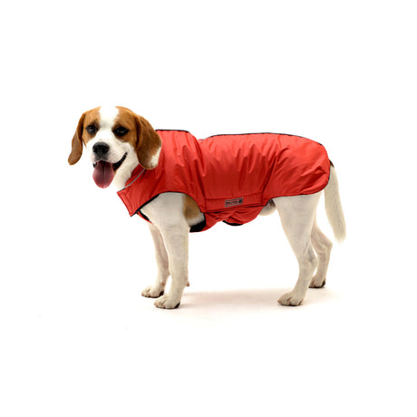 Outdoorjacke Jack für Hunde