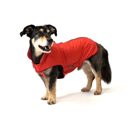 Outdoorjacke Jack für Hunde