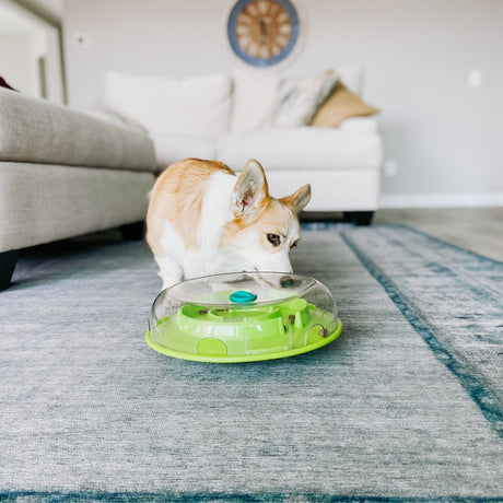 Hundespielzeug Wobble Bowl