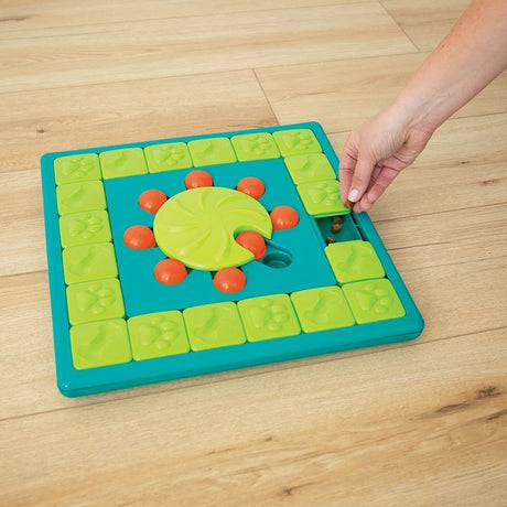Multi Puzzle Intelligenzspielzeug
