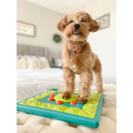 Multi Puzzle Intelligenzspielzeug