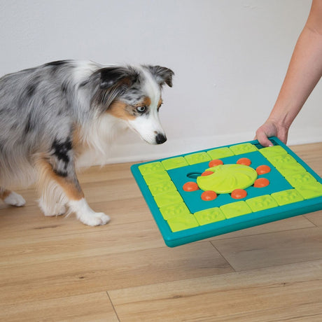 Multi Puzzle Intelligenzspielzeug