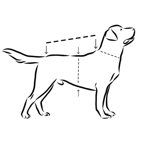 Hochreflektierender Hundewintermantel