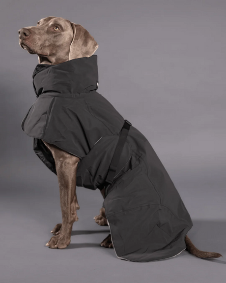 Hochreflektierender Hundewintermantel