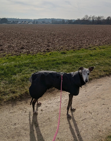 Hochreflektierender Hundewintermantel