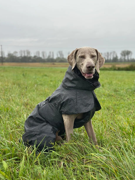 Hochreflektierender Hundewintermantel