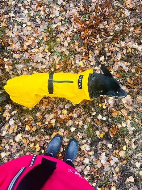 Visibility Hunderegenmantel Lite – Reflektierend, Wasserdicht & Sicher