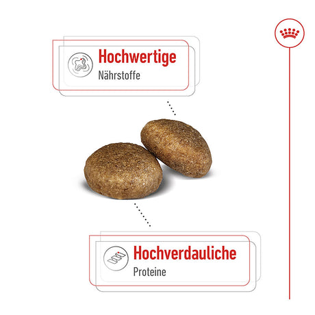 Royal Canin Maxi Adult Trockenfutter für große Hunde