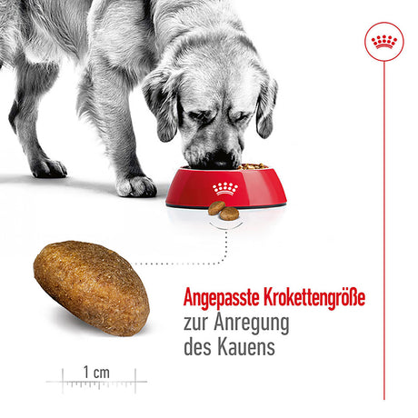 Royal Canin Maxi Adult Trockenfutter für große Hunde