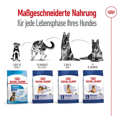 Royal Canin Maxi Adult Trockenfutter für große Hunde