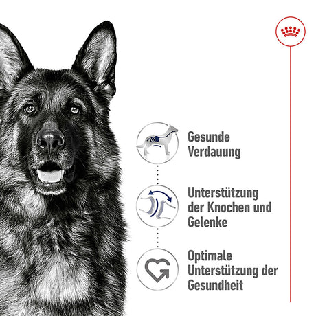 Royal Canin Maxi Adult Trockenfutter für große Hunde