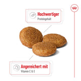 Royal Canin Medium Adult Trockenfutter für mittelgroße Hunde