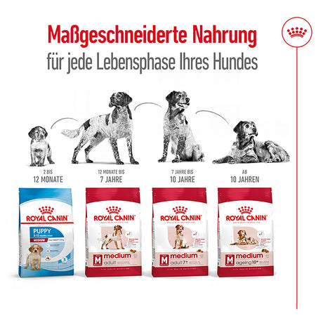 Royal Canin Medium Adult Trockenfutter für mittelgroße Hunde
