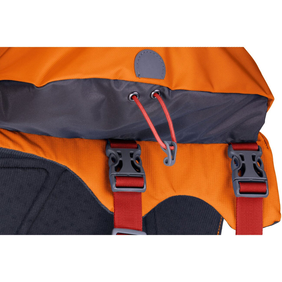 Ruffwear Approach Pack Hunderucksack