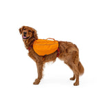 Ruffwear Approach Pack Hunderucksack