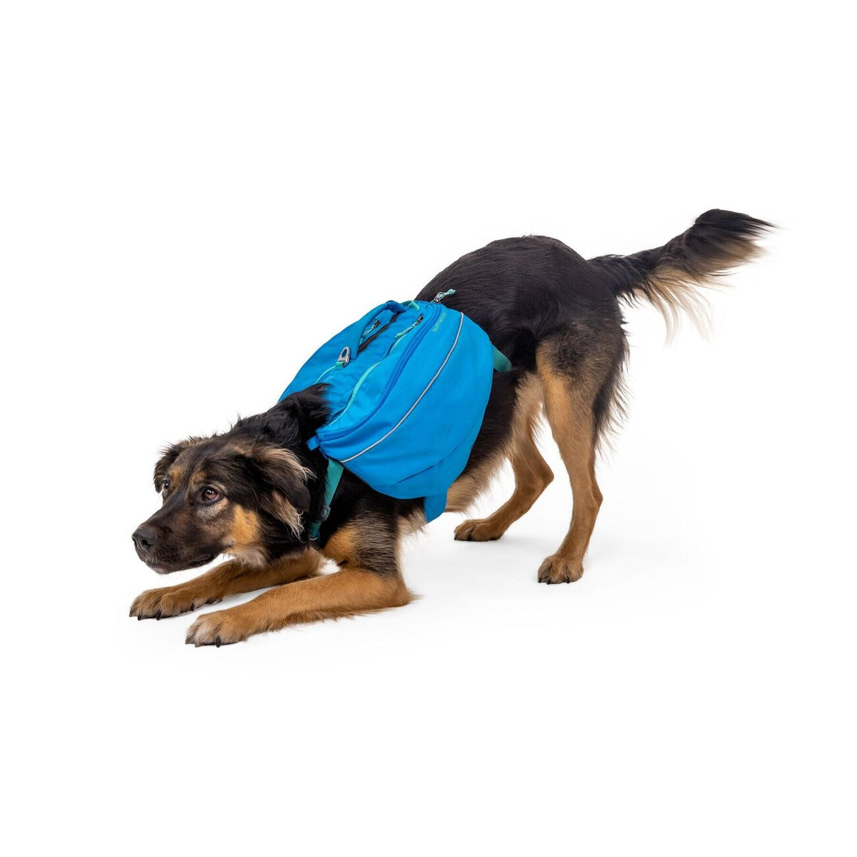 Ruffwear Approach Pack Hunderucksack