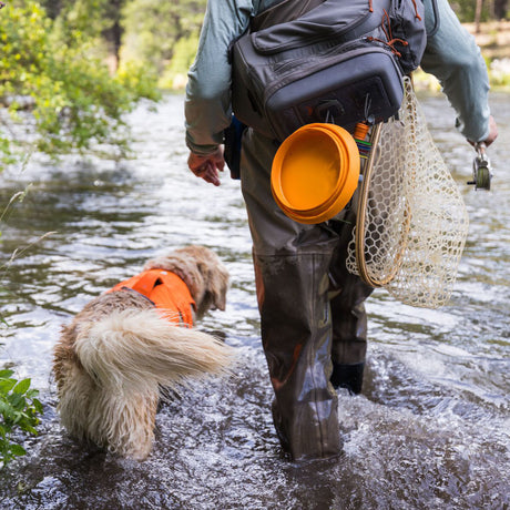 Bivy Bowl Reisenapf für Hunde