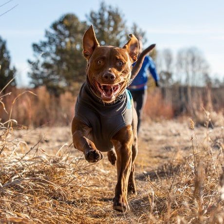 Ruffwear Climate Changer Hundepullover aus Fleece