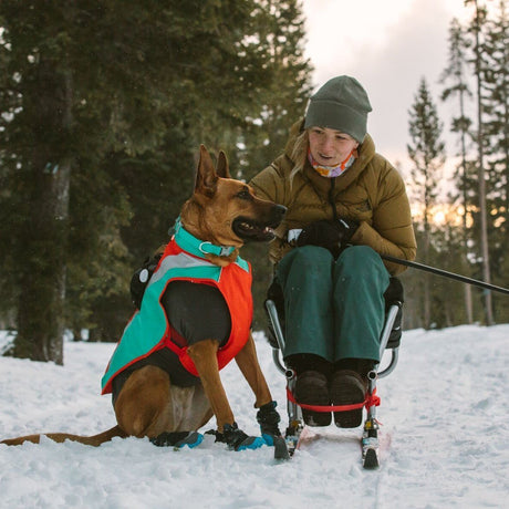 Confluence Waterproof Hunde Halsband