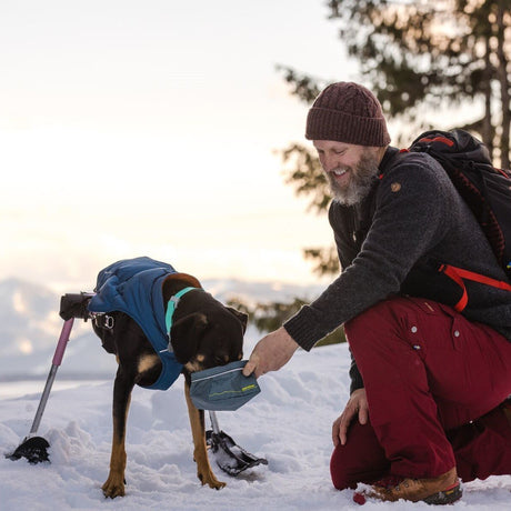 Confluence Waterproof Hunde Halsband